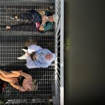 783c228f-536c-40e1-b5d9-976162bc57e1