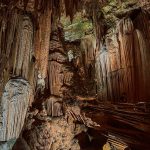 e4976877-9365-4d42-af6f-d76b65a8dd56