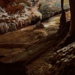 edd266d7-9996-4d4c-85f5-95087bcba8ee